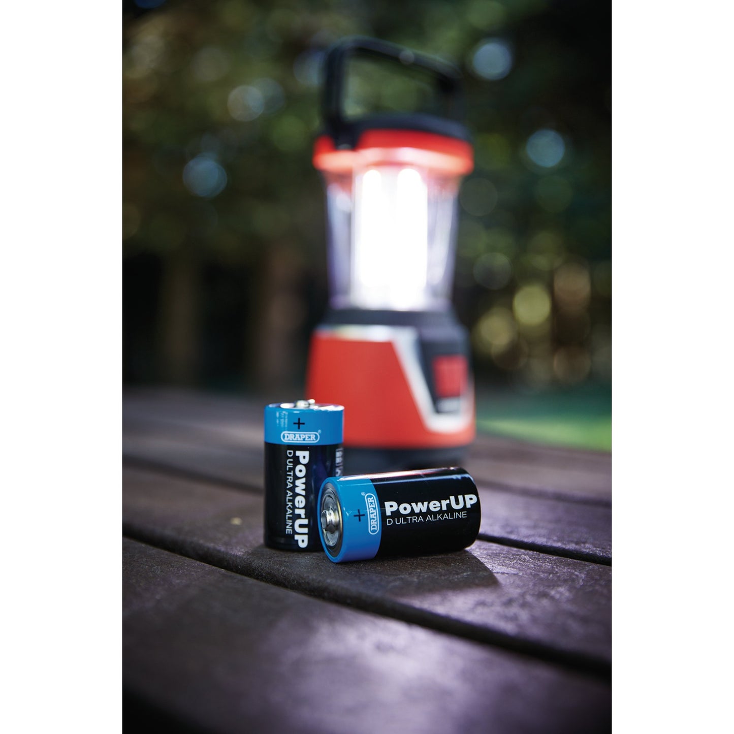 Draper PowerUP Ultra Alkaline D Batteries (Pack of 4)