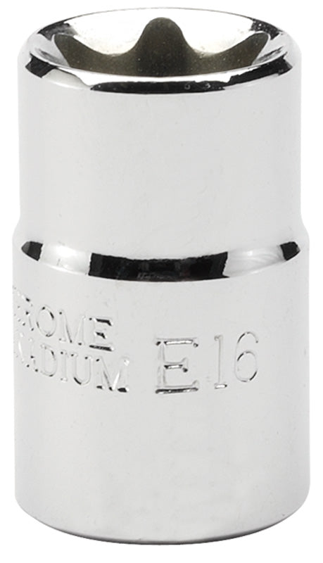 Expert E16 3/8" Square Drive Draper TX-STAR® Socket