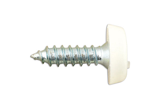 Connect Number Plate Screw 10 x 3/4" White Polytop 100pc 31542