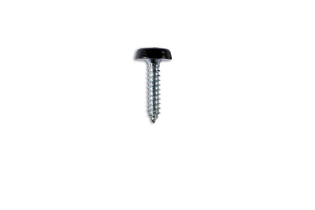 Connect Number Plate Screw 10 x 1" Black Polytop 100pc 31548
