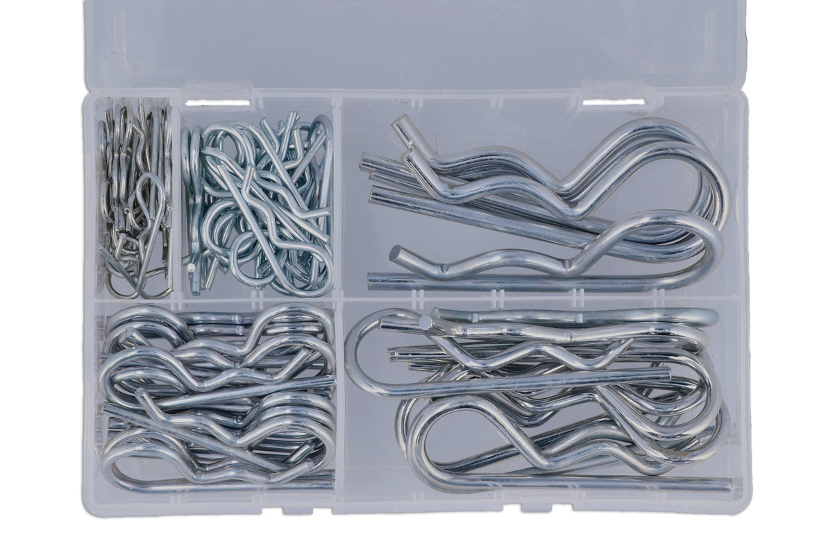 Connect Assorted R Clips 75pc 31899