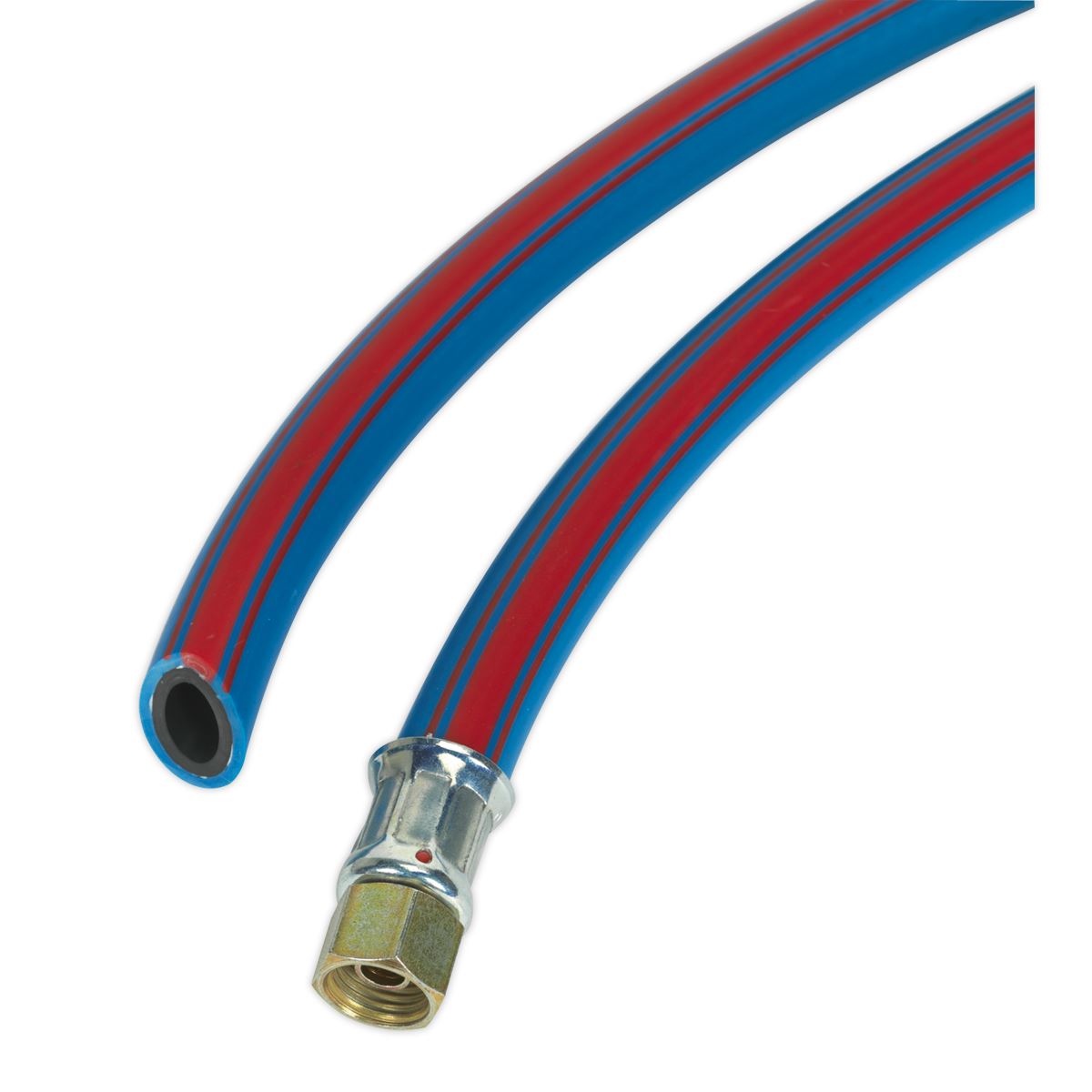 Sealey Air Leader Hose 600mm x 8mm With Tailpiece & 1/4"BSP Union AH2R