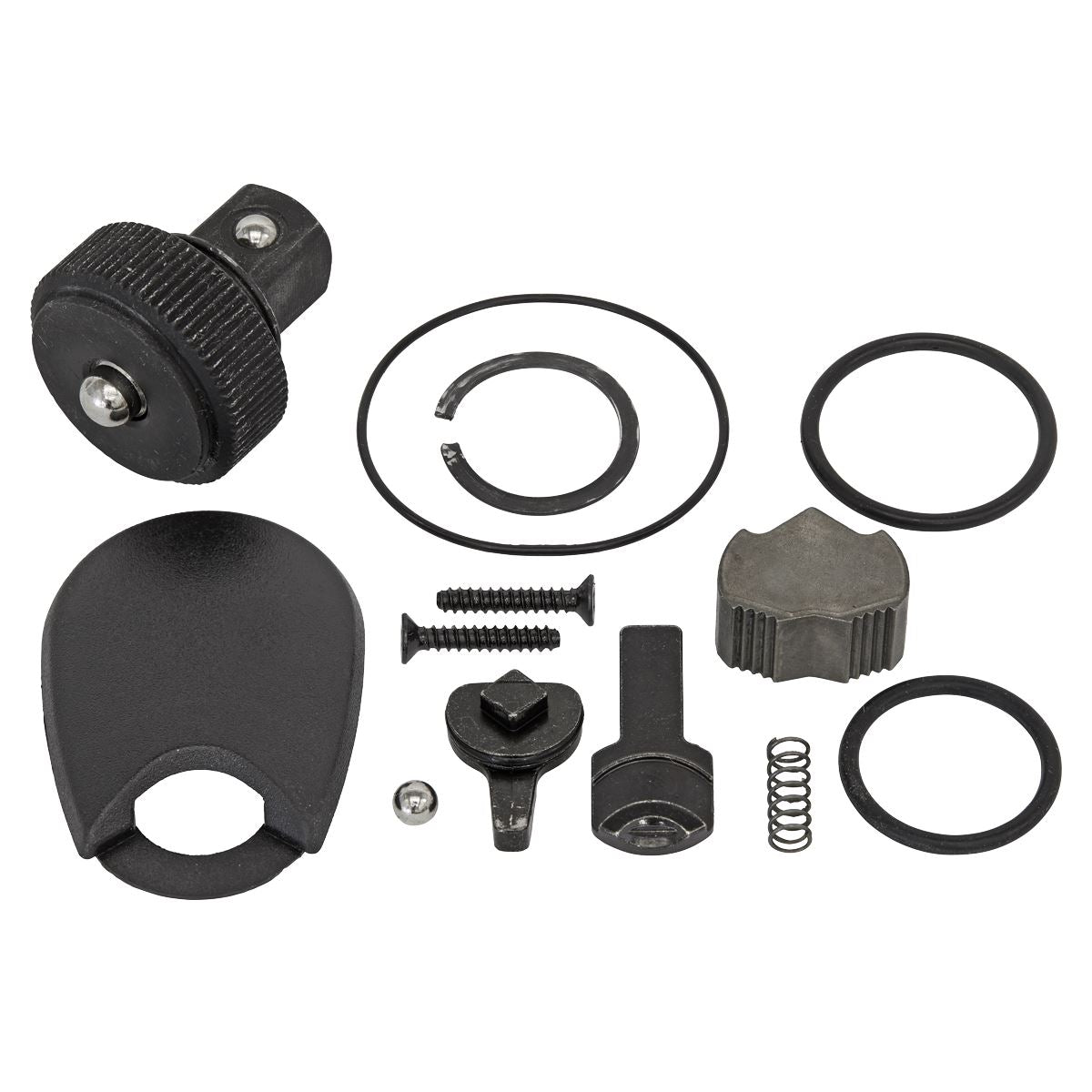 Sealey 1/4"Sq Drive Repair Kit for AK8976 Dust Free AK8976.RK
