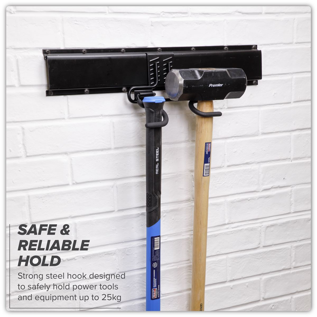 Sealey Storage Hook Double S APH08