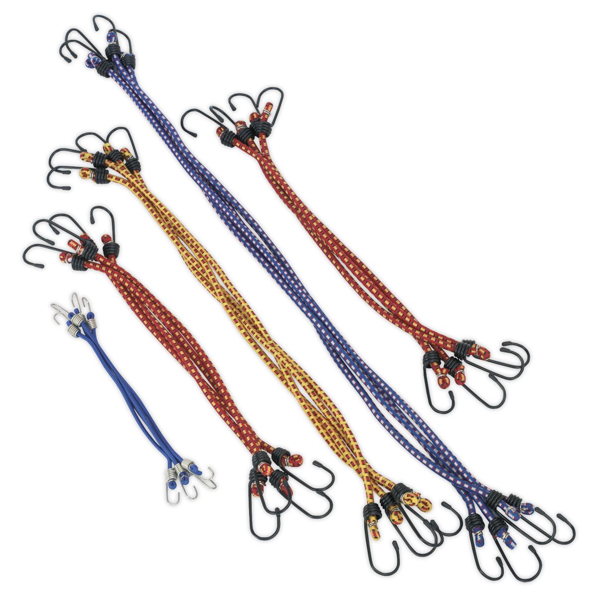 Sealey Elastic Cord Set 20pc BCS20