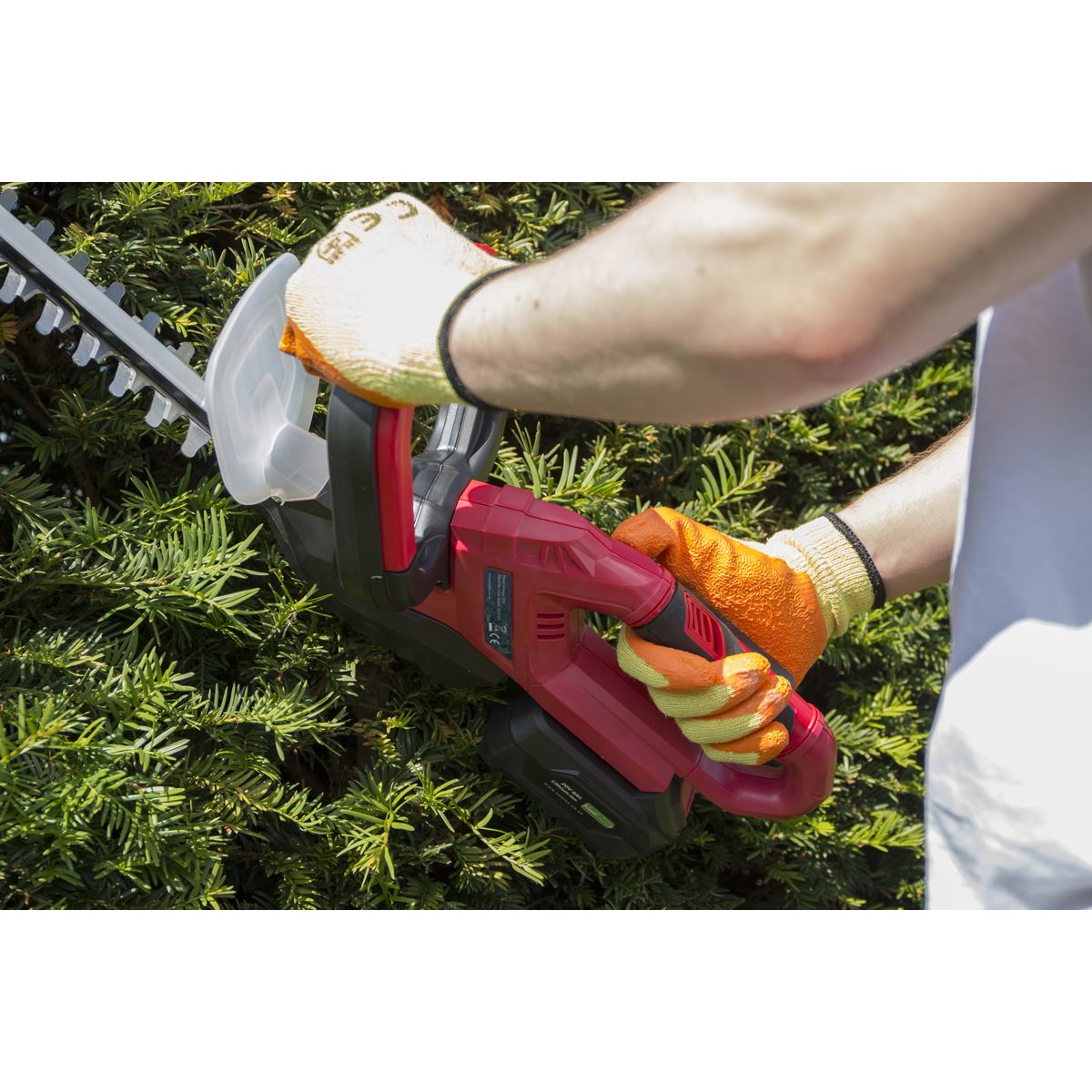 Sealey 52cm Hedge Trimmer Cordless 20V SV20 Series - Body Only CHT20V