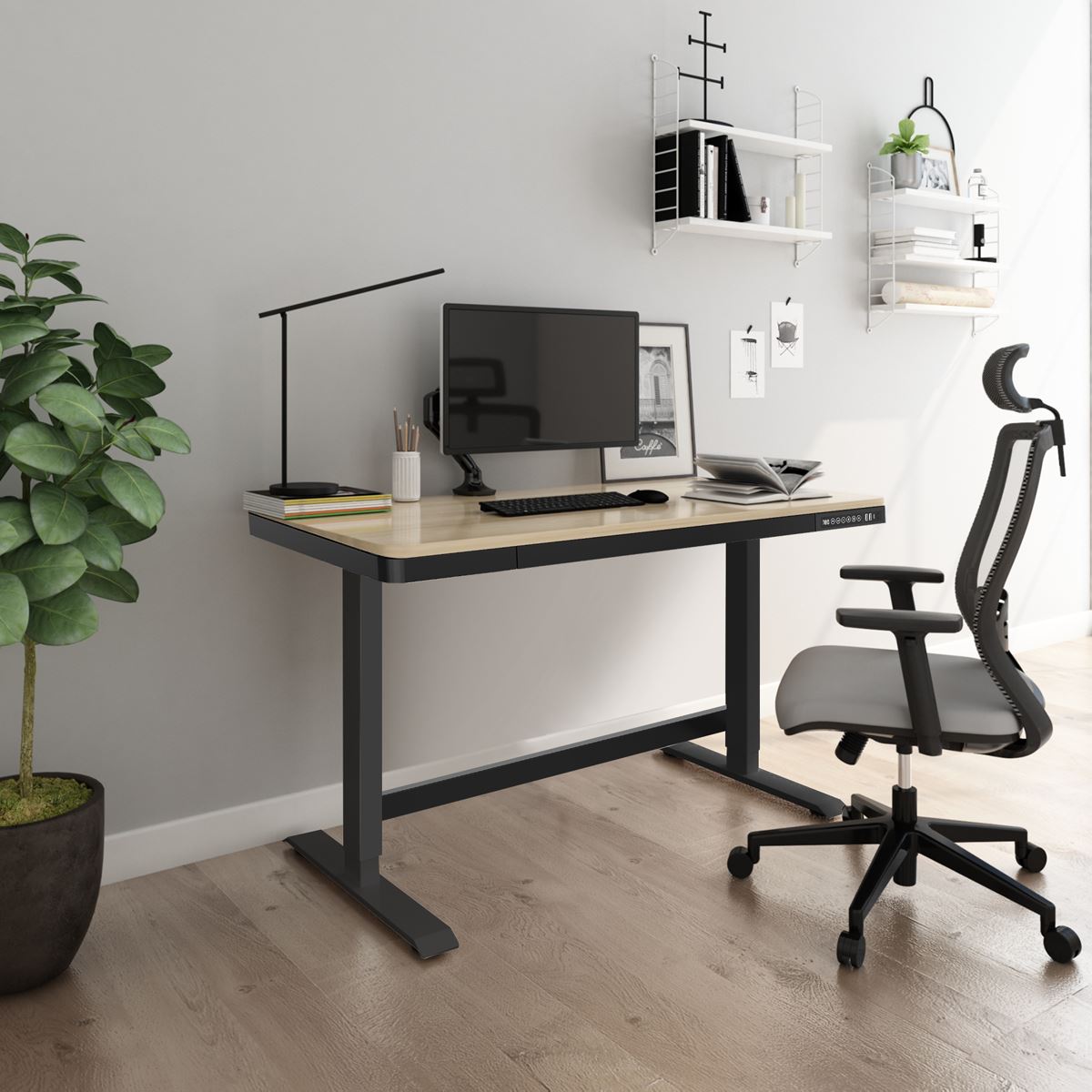 Dellonda Oak Electric Adjustable Standing Desk USB & Drawer 1200 x 600mm DH65
