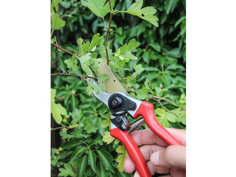 Faithfull Countryman Professional Bypass Secateurs 215mm (8in) FAICOUBYPRO8