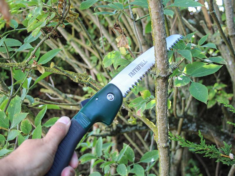 Faithfull Countryman Folding Pruning Saw 175mm (7in) FAICOUFPS