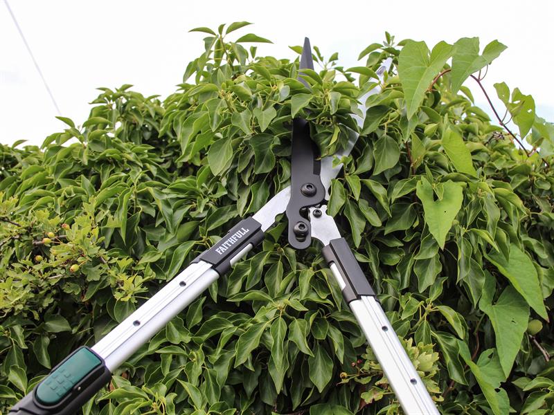 Faithfull Countryman Telescopic Hedge Shear 12in Blade FAICOUHS12T