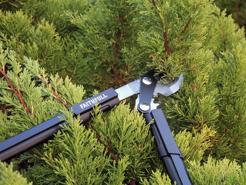 Faithfull Countryman Geared Bypass Lopper 600mm (24in) FAICOULOPB24