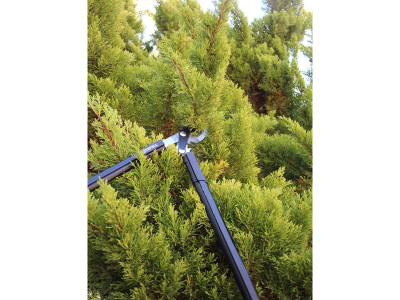 Faithfull Countryman Geared Bypass Lopper 600mm (24in) FAICOULOPB24