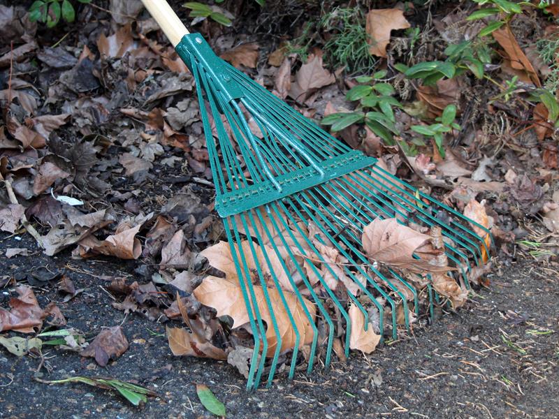 Faithfull Countryman Leaf Rake 22 Flat Tines FAICOULRF