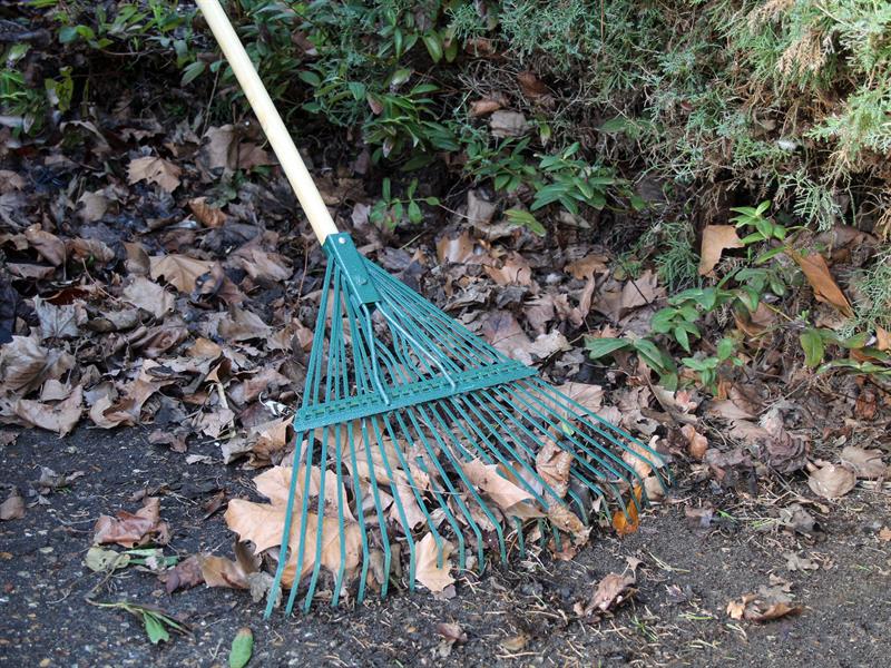 Faithfull Countryman Leaf Rake 22 Flat Tines FAICOULRF