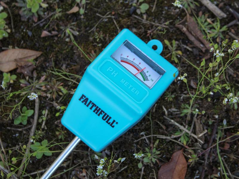 Faithfull pH Meter 200mm Long Probe FAIDETPH