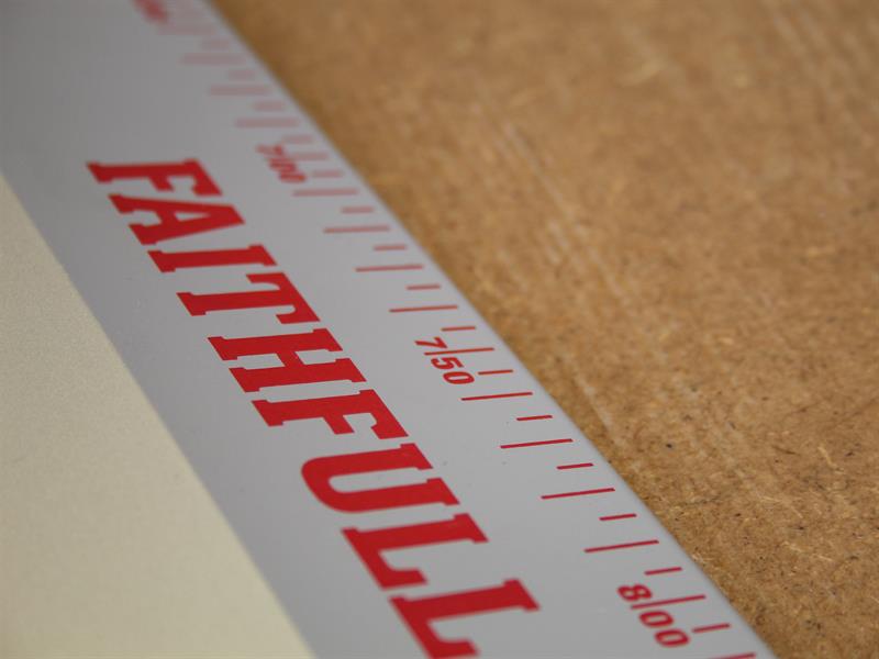 Faithfull Feather Edge with Scale 1.2m x 93mm x 25mm FAIFE4