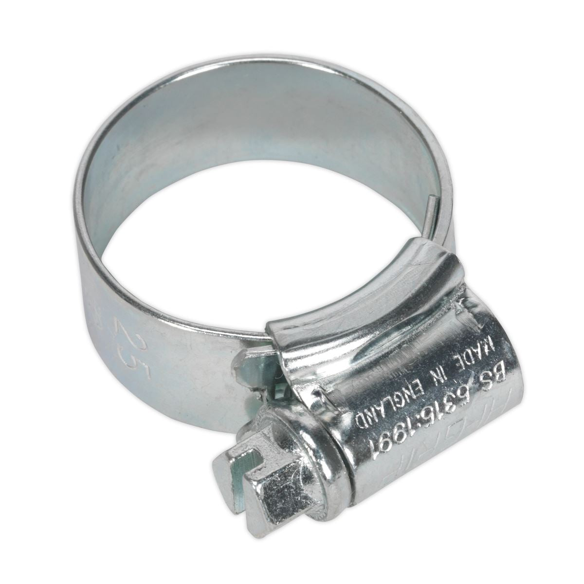 Sealey HI-GRIP® Hose Clip Zinc Plated �17-25mm Pack of 20 HCJ0X