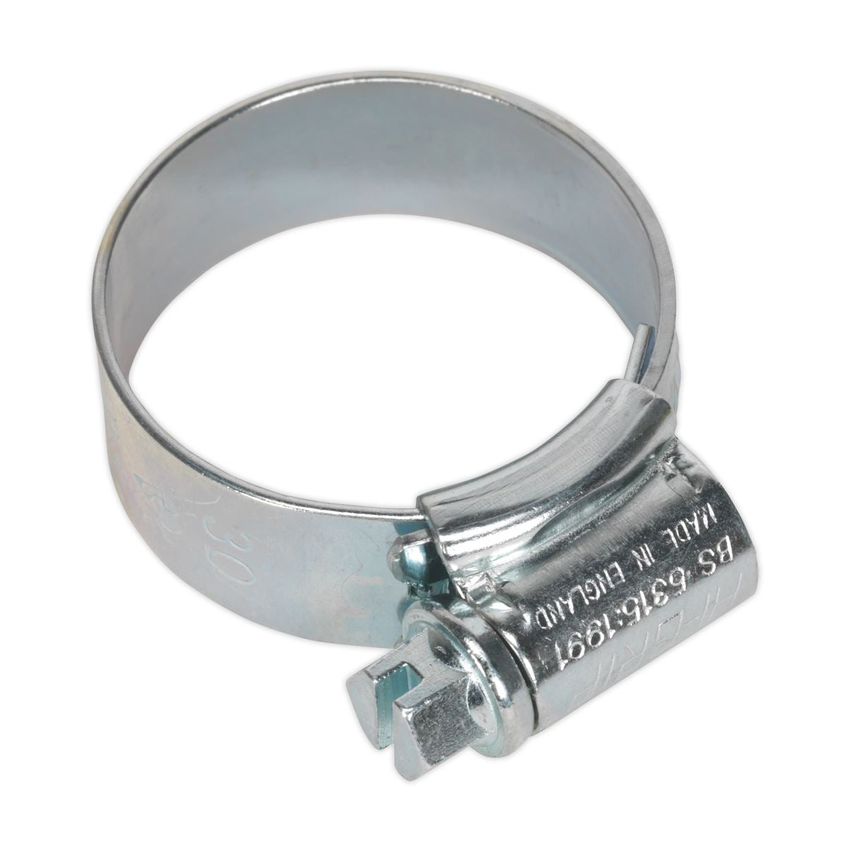 Sealey HI-GRIP® Hose Clip Zinc Plated �22-30mm Pack of 20 HCJ1A