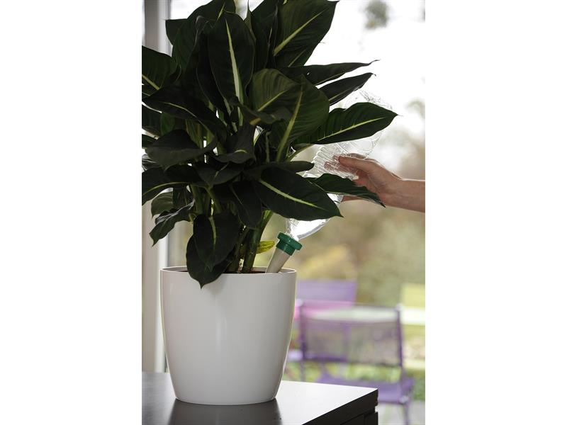 Hozelock 2717 Green Aquasolo Watering Cone for Medium 16in Pots (Pack 4) HOZ2717
