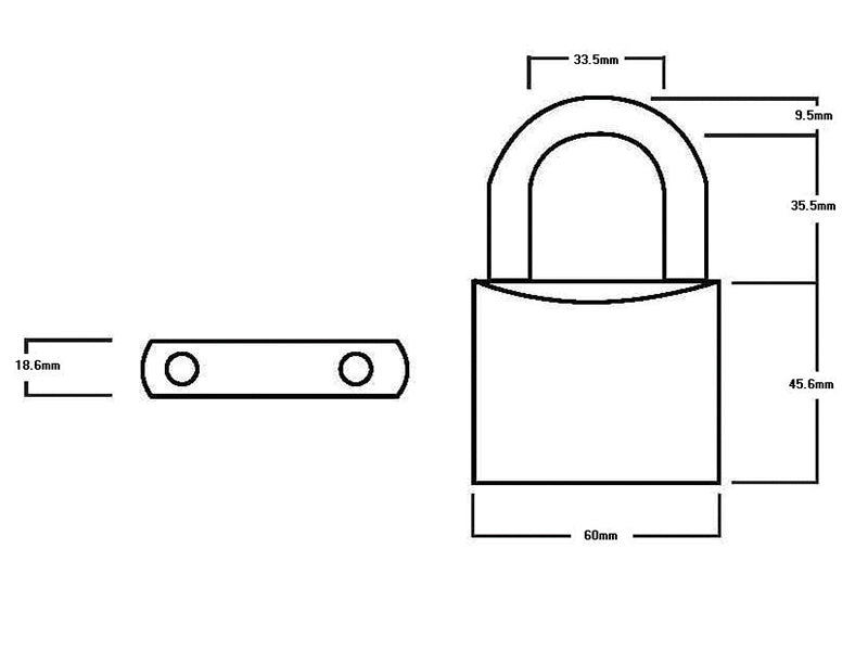 Squire LN60 Lion Range Brass Padlock 60mm HSQLN60