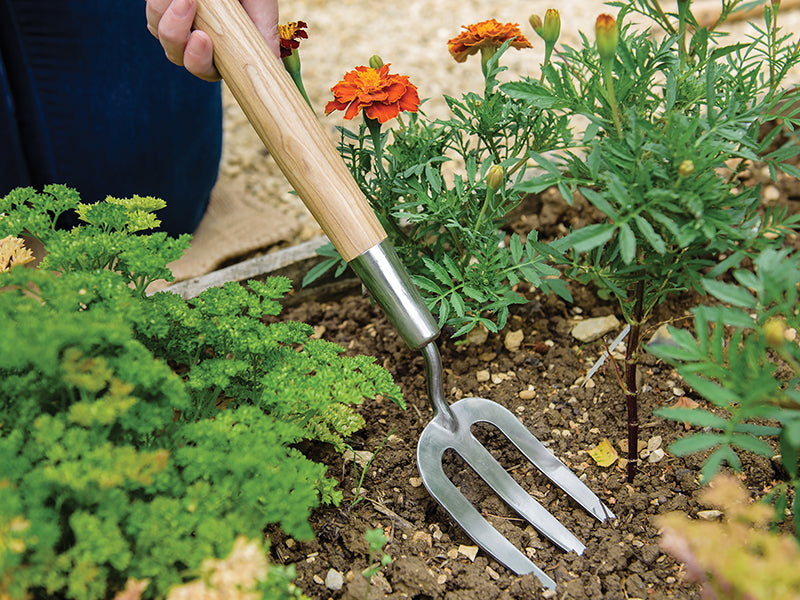 Kent & Stowe Stainless Steel Hand Border Fork, FSC® K/S70100112