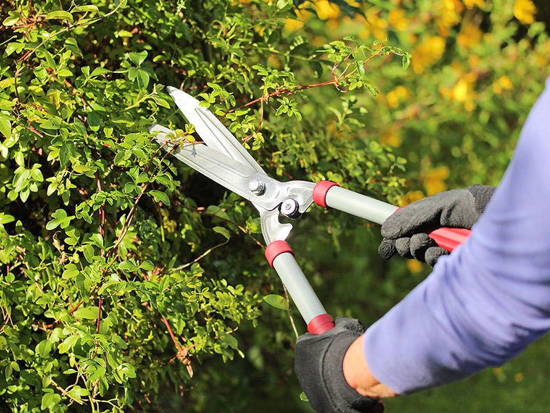 Kent & Stowe General Purpose Hedge Shears K/S70100426