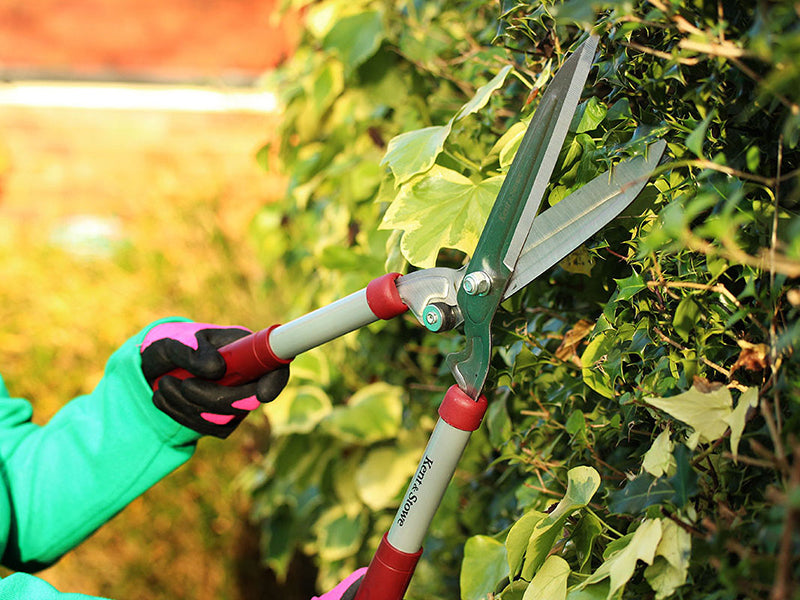 Kent & Stowe General Purpose Hedge Shears K/S70100426