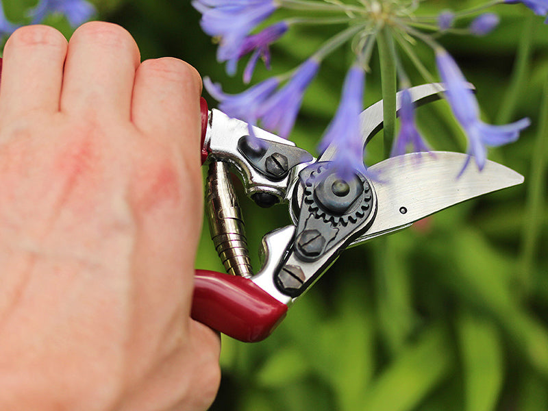Kent & Stowe Rose 'Cut & Hold' Secateurs K/S70100466