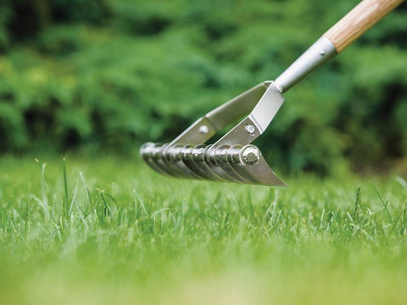 Kent & Stowe Stainless Steel Long Handled Scarifying Rake, FSC® K/S70100902