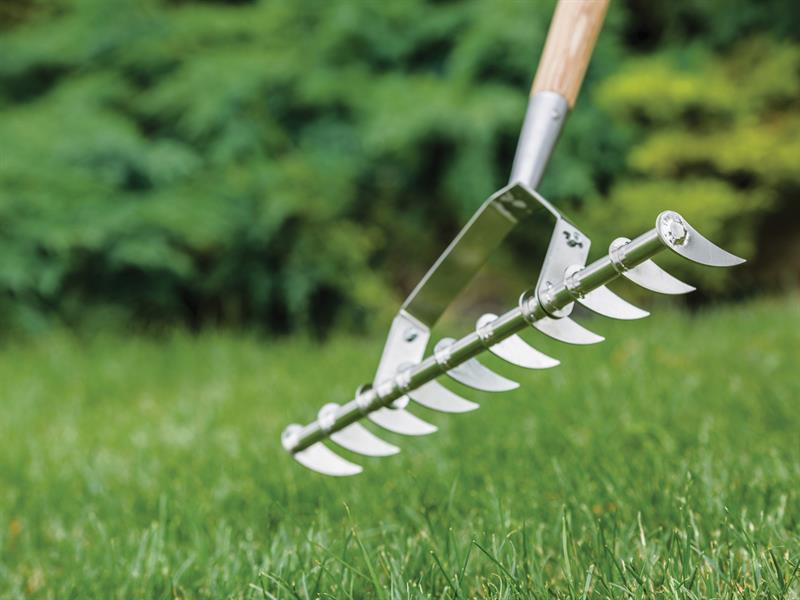 Kent & Stowe Stainless Steel Long Handled Scarifying Rake, FSC® K/S70100902
