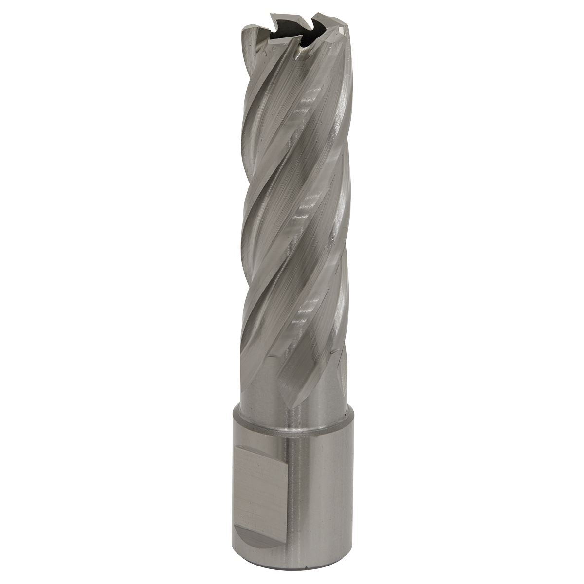 Sealey Rotabor Cutter HSS �17mm - Cut Depth 50mm RBHSS17L