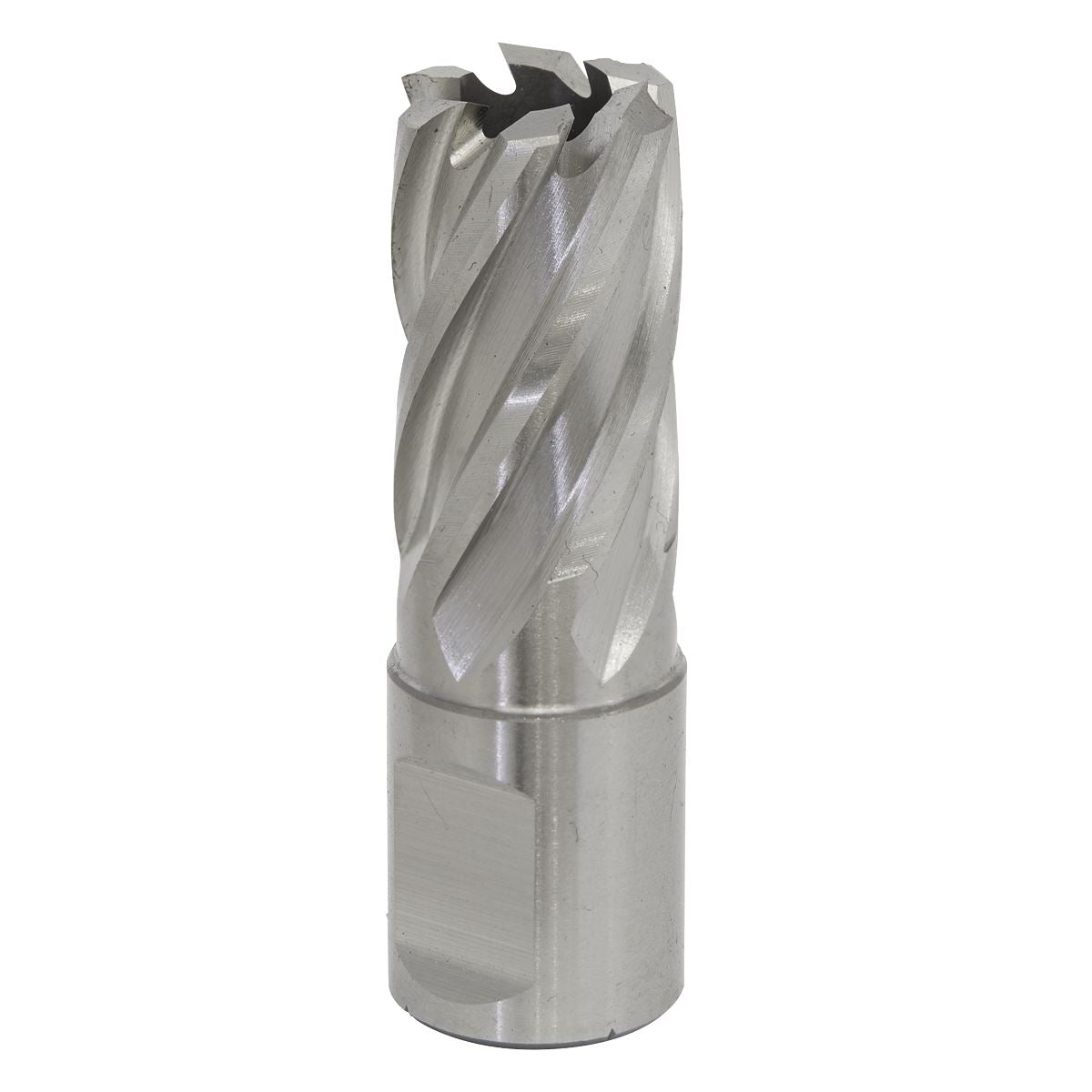 Sealey Rotabor Cutter HSS �17mm - Cut Depth 25mm RBHSS17S