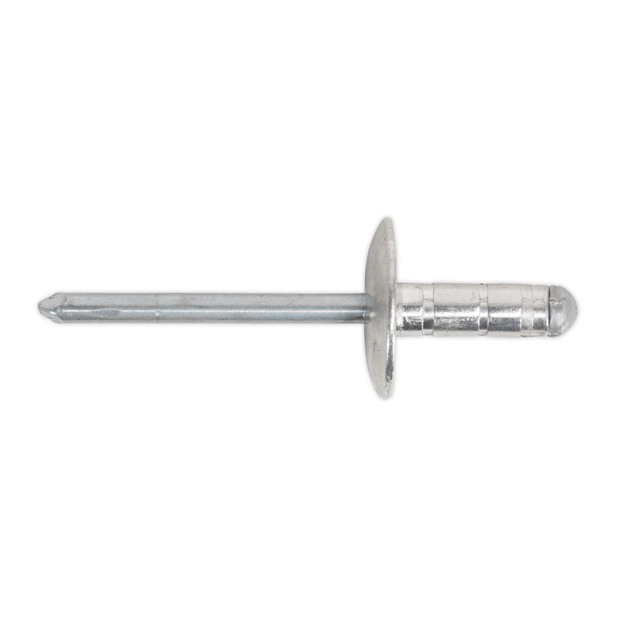Sealey Aluminium Multi-Grip Rivet Large Flange �4.8 x 19mm Pack of 200 RM4819L