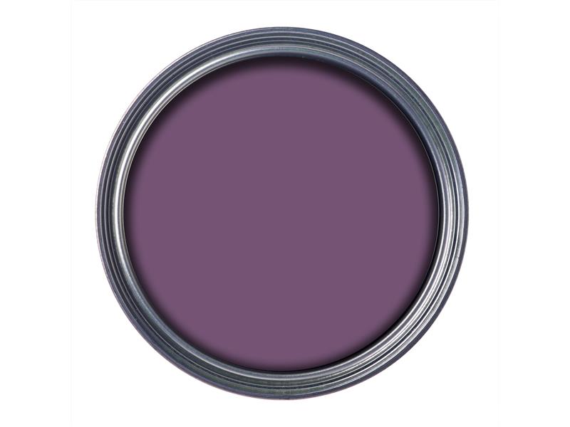 Ronseal Garden Paint Purple Berry 750ml RSLGPPB750