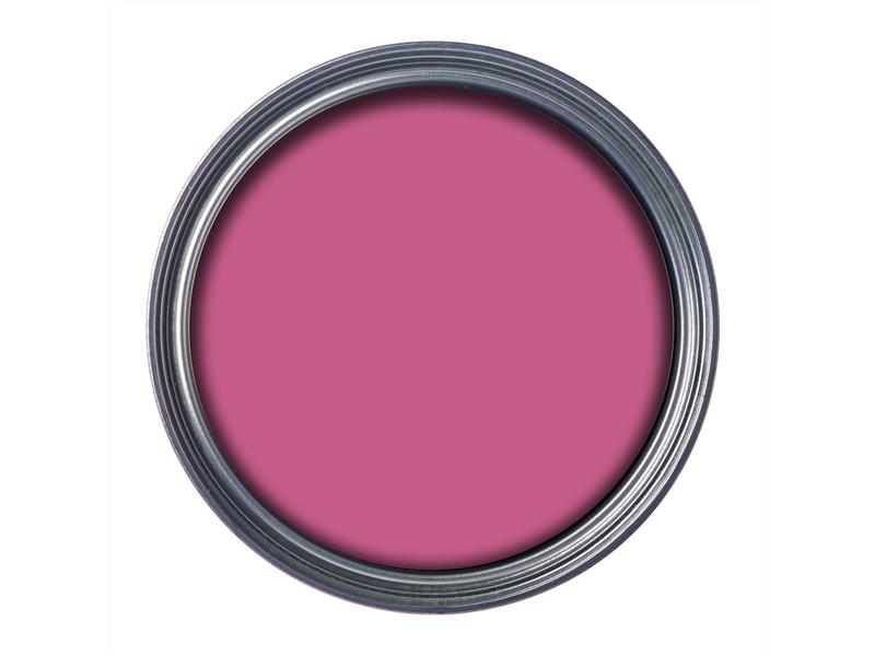 Ronseal Garden Paint Pink Jasmine 250ml RSLGPPJ250