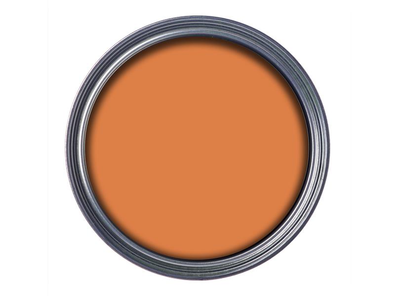 Ronseal Garden Paint Sunburst 250ml RSLGPSB250