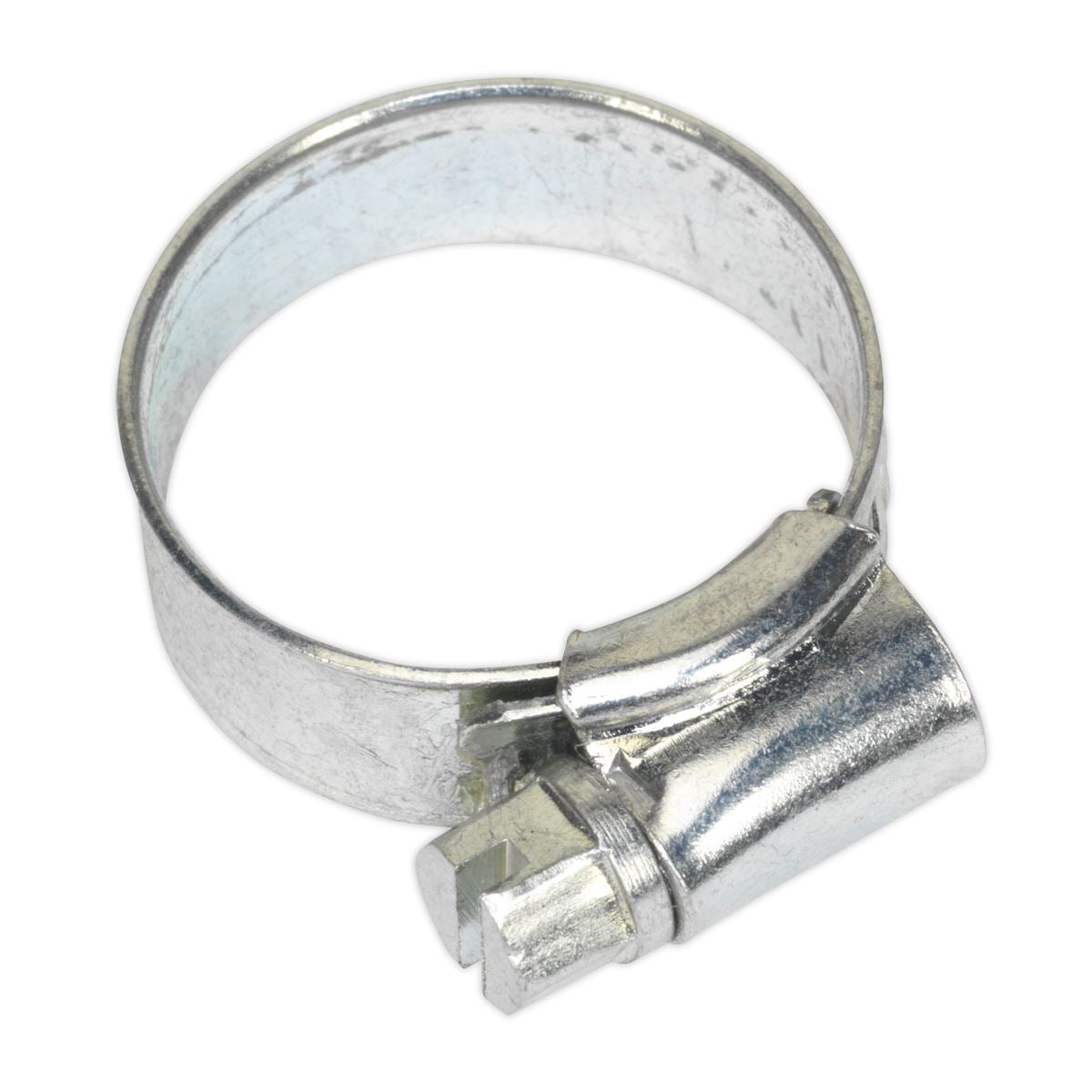 Sealey Hose Clip Zinc Plated �16-22mm Pack of 30 SHC0