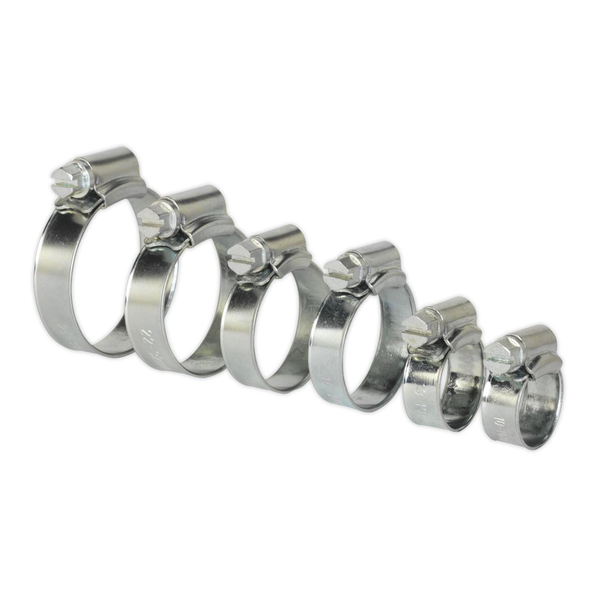 Sealey Hose Clip Assortment 30pc �8-29mm Zinc Plated SHCS1