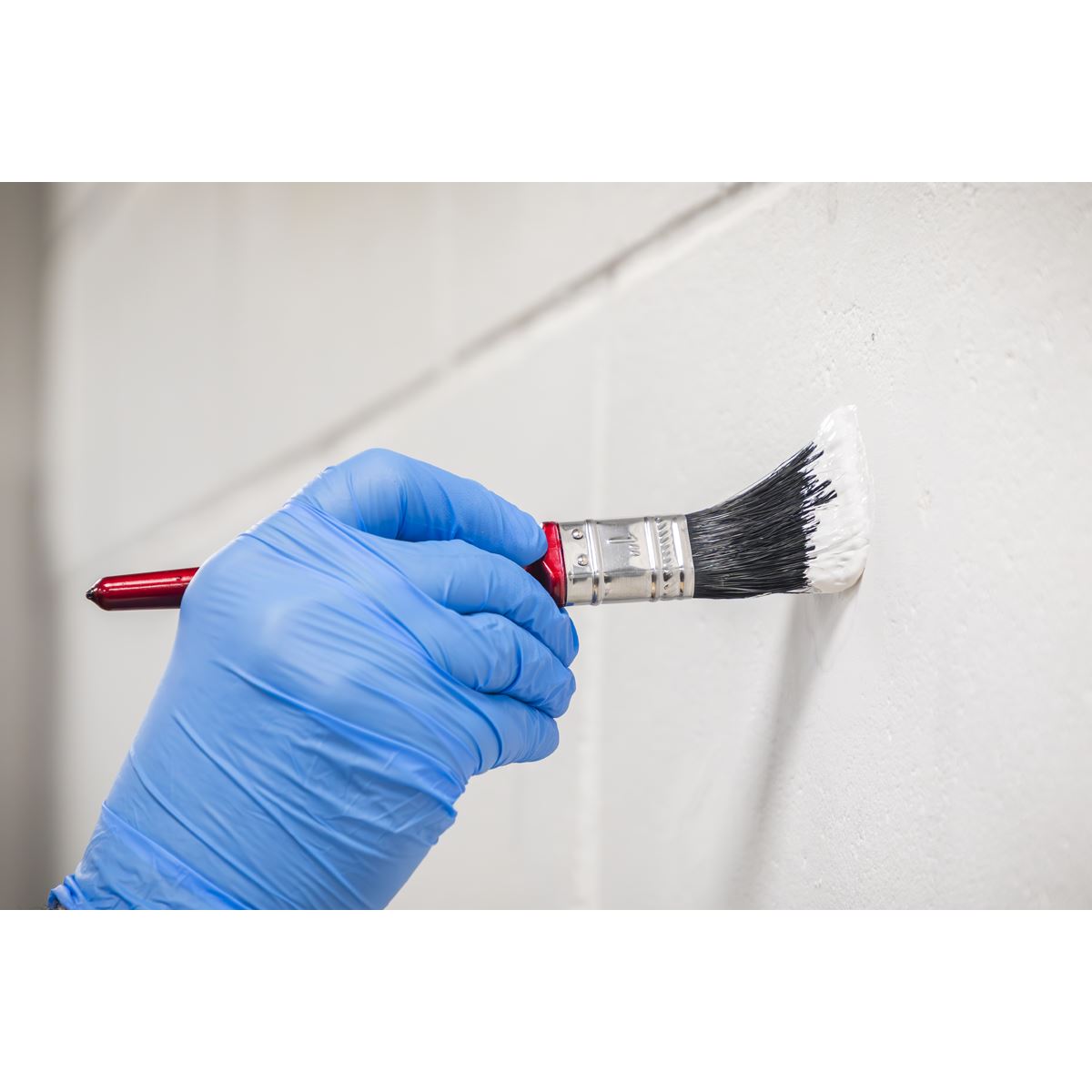 Sealey Pure Bristle Paint Brush 25mm Pack of 10 SPB25S