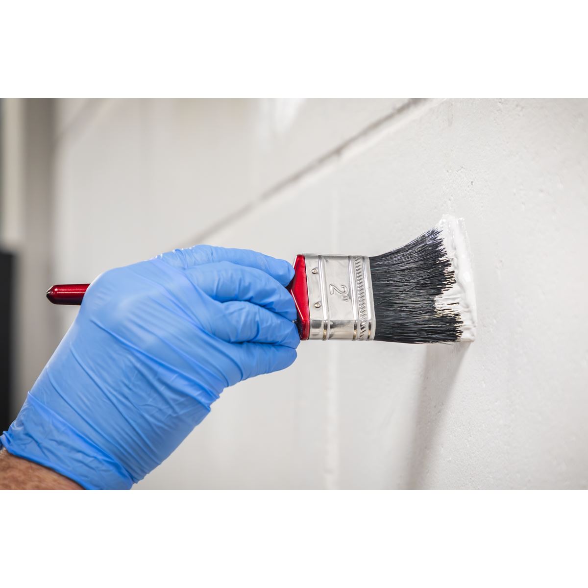 Sealey Pure Bristle Paint Brush 50mm Pack of 10 SPB50S