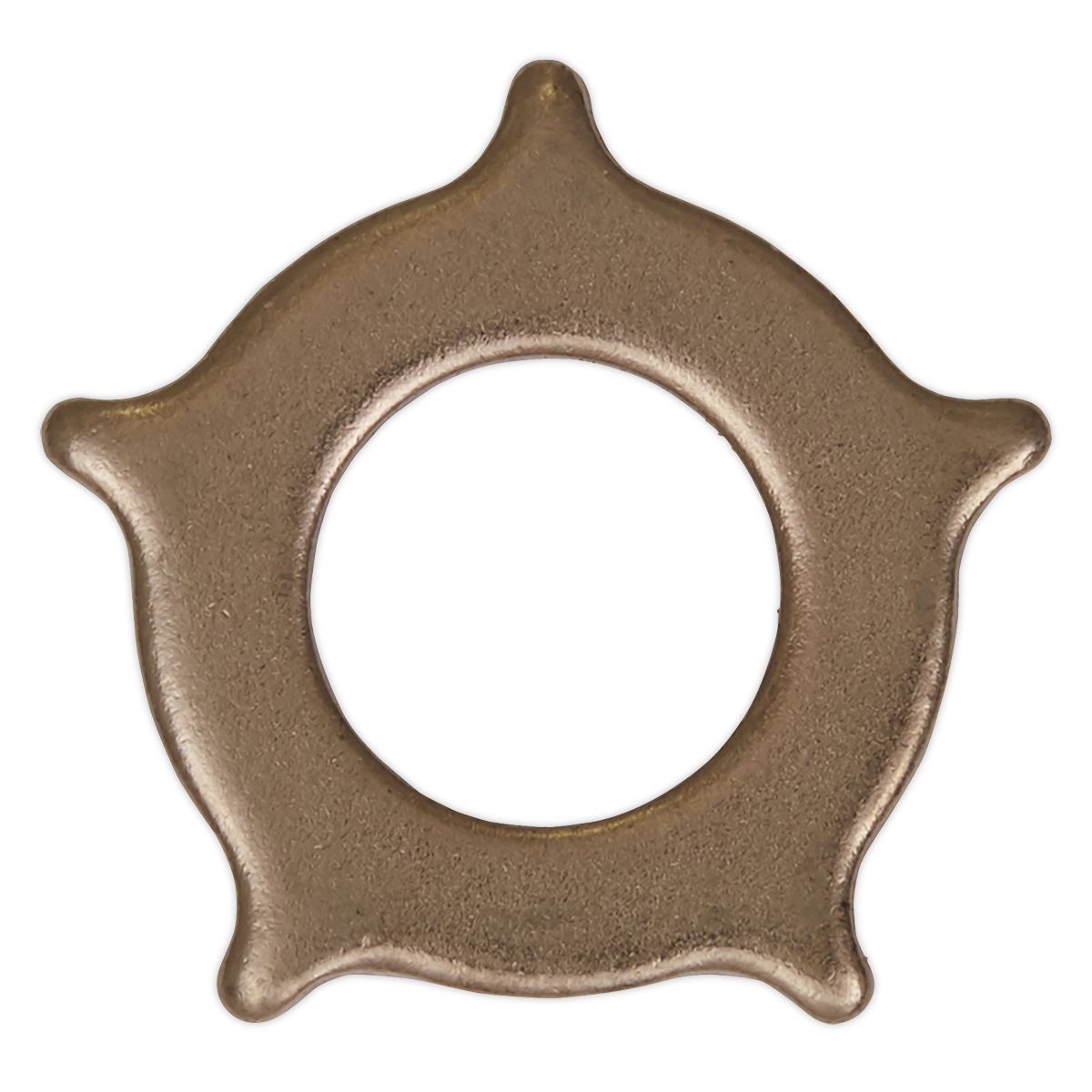 Sealey Star Washer for SR2000 Pack of 10 SR2000.SW