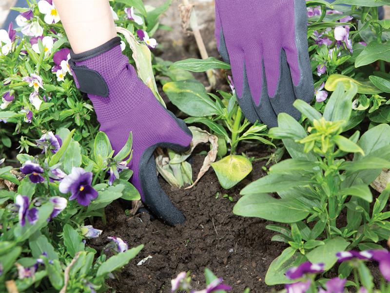 Town & Country TGL273S Weed Master Plus Ladies' Gloves Purple - Small T/CTGL273S