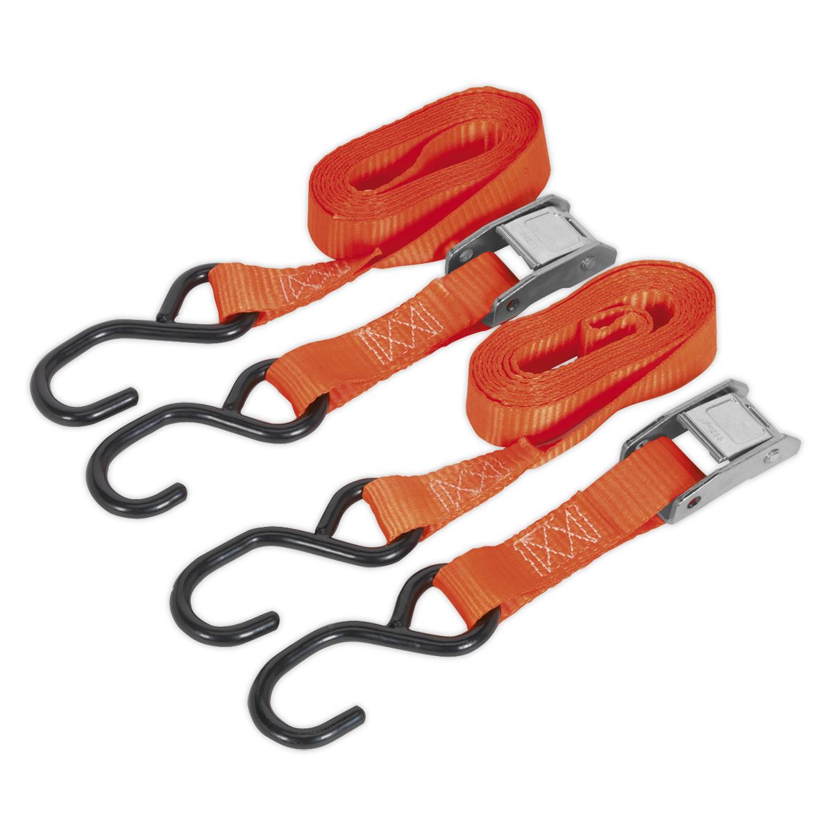 Sealey Cam Buckle Strap 25mm x 2.5m Polyester Webbing with S-Hooks 500kg Breaking Strength TD05025CS