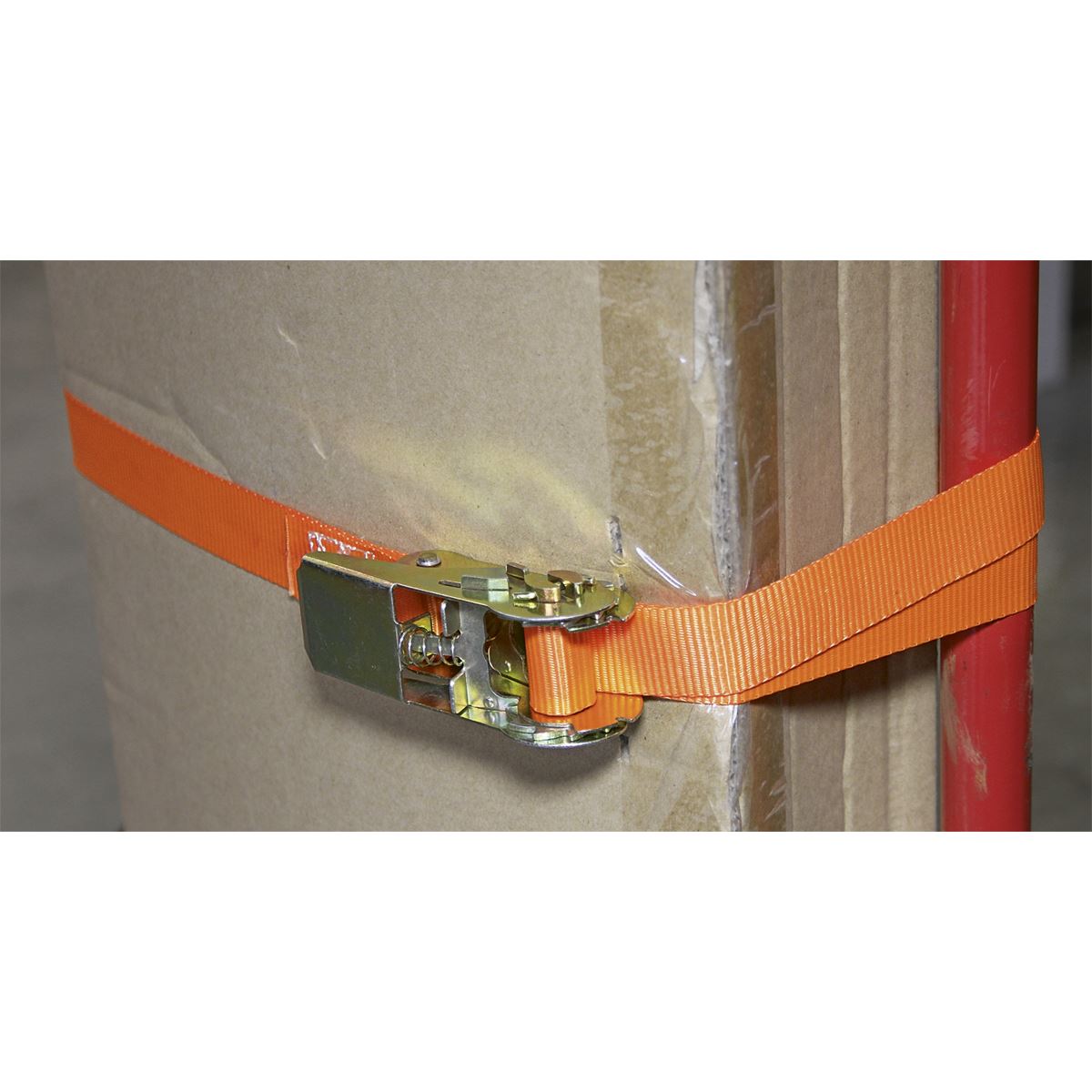 Sealey Self-Securing Ratchet Straps 25mm x 4.5m 500kg Breaking Strength - Pair TD05045E