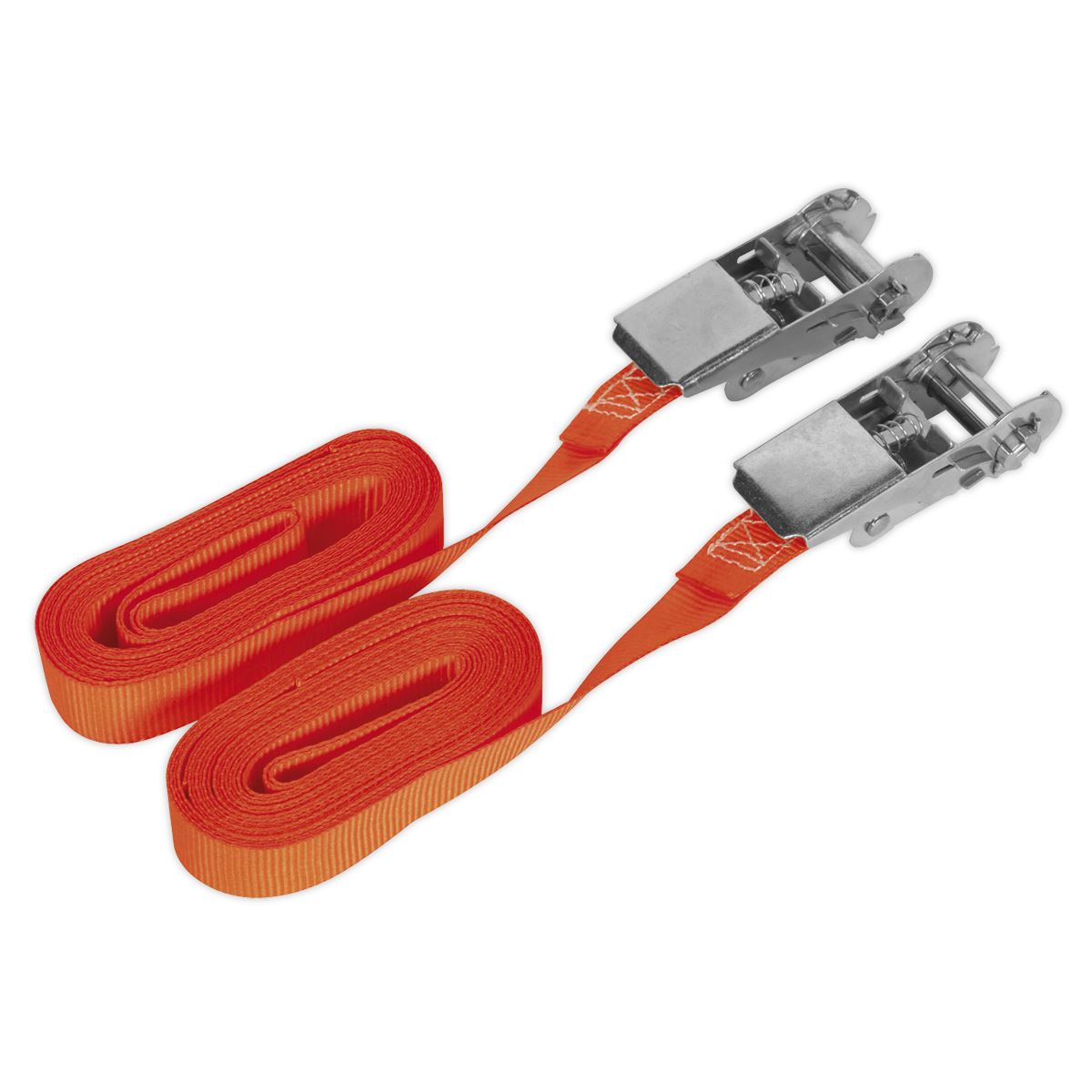 Sealey Self-Securing Ratchet Straps 25mm x 4.5m 500kg Breaking Strength - Pair TD05045E