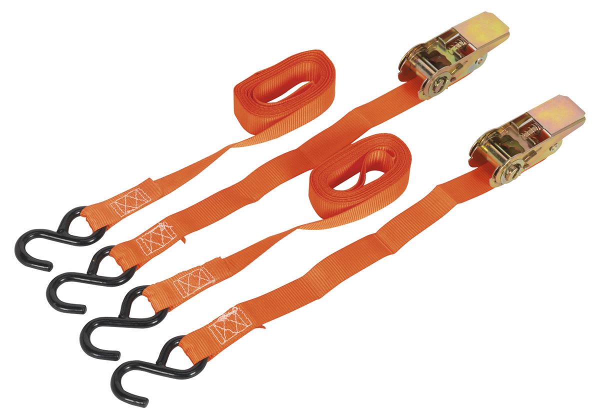 Sealey Ratchet Straps 25mm x 4m Polyester Webbing with S-Hooks 500kg Breaking Strength - Pair TD0540S2