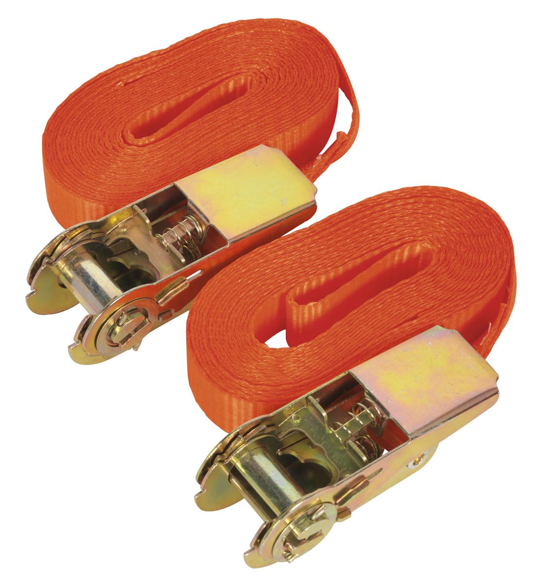 Sealey Self-Securing Ratchet Straps 25mm x 4.5m 800kg Breaking Strength - Pair TD08045E