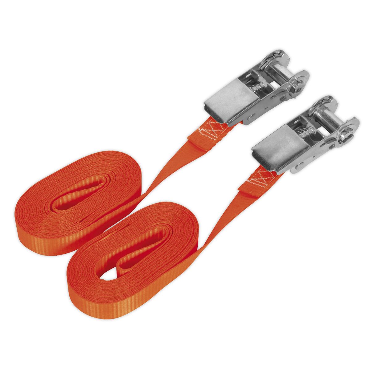 Sealey Self-Securing Ratchet Straps 25mm x 4.5m 800kg Breaking Strength - Pair TD08045E