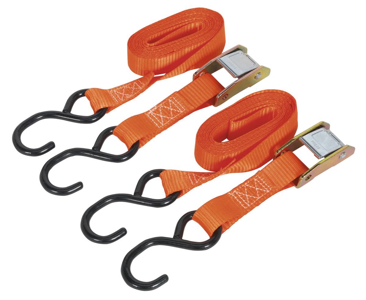 Sealey Cam Buckle Strap 25mm x 2.5m Polyester Webbing with S-Hooks 250kg Breaking Strength TD2525CS