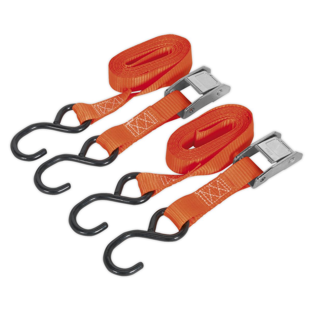 Sealey Cam Buckle Strap 25mm x 2.5m Polyester Webbing with S-Hooks 250kg Breaking Strength TD2525CS
